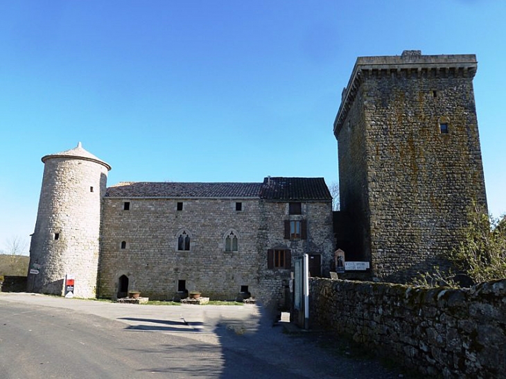 Le château - Viala-du-Pas-de-Jaux