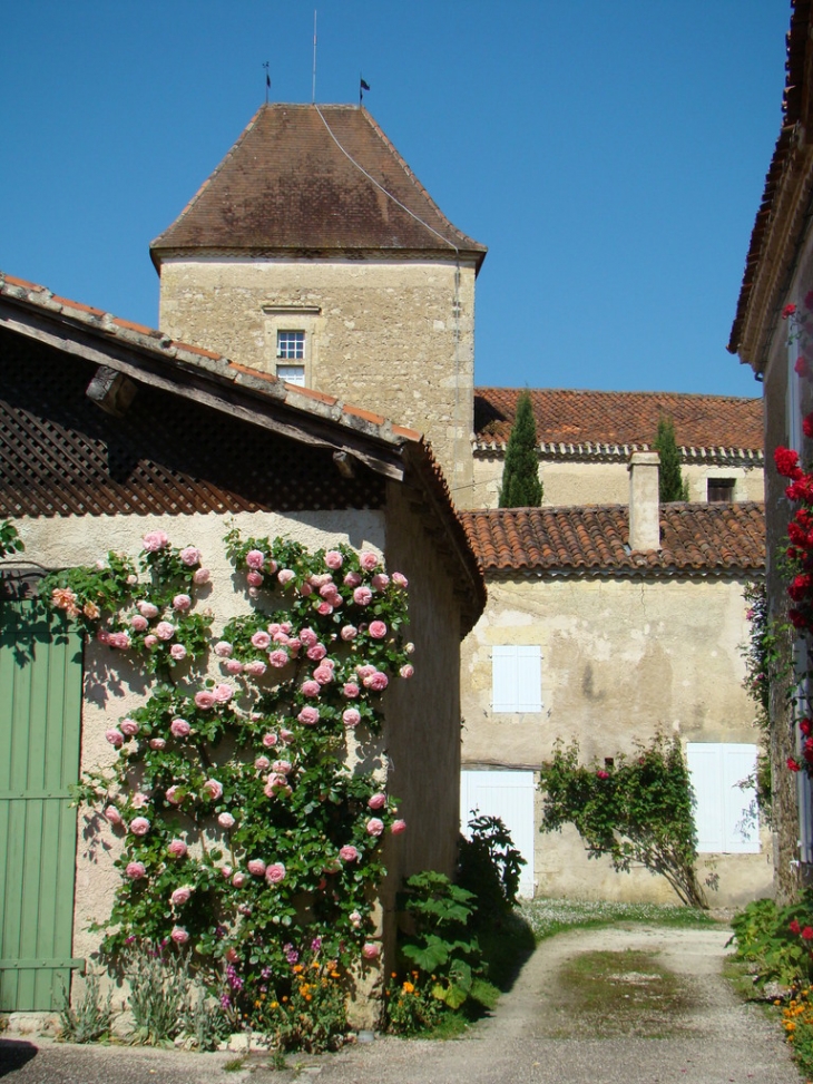 Vue du château - Bazian