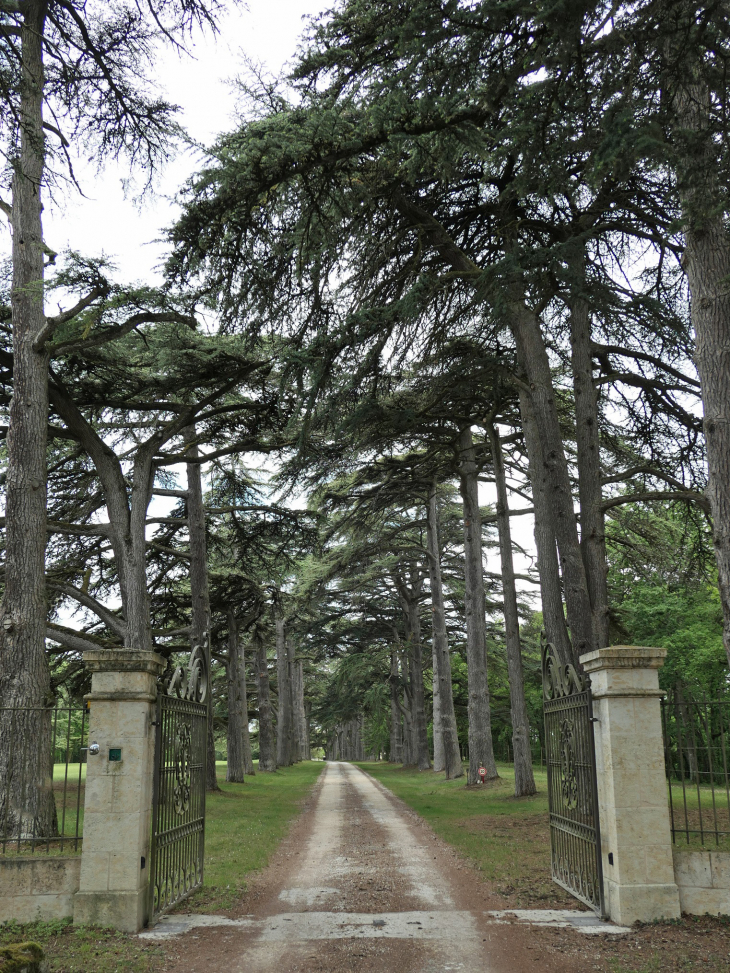 L'entrée du parc du château - Bonas