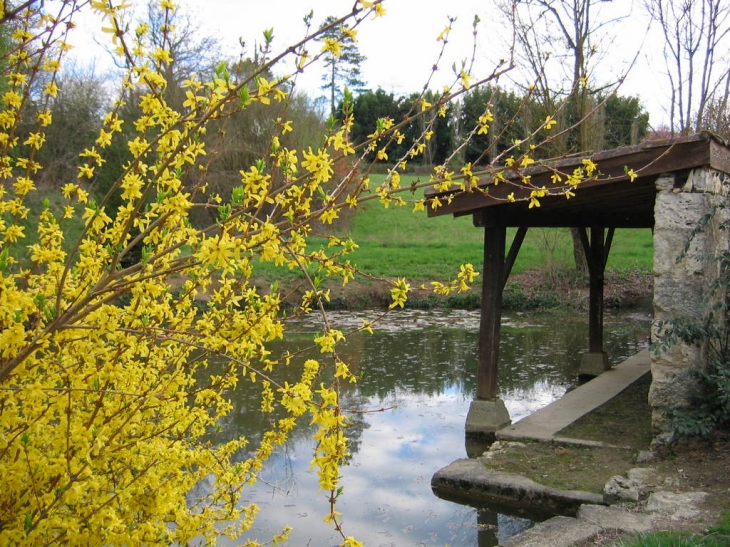 Lavoir du village - Cadeilhan