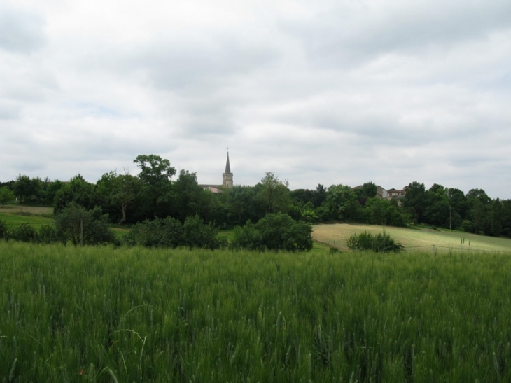 Le clocher et la campagne environnante - Castelnau-d'Arbieu