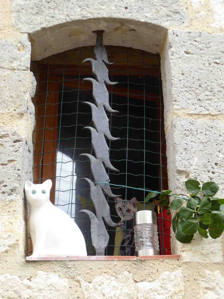 La fenêtre aux chats - Castéra-Lectourois