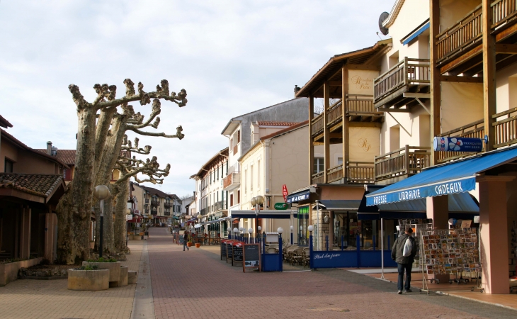 Barbotan-les Thermes - La rue principale. - Cazaubon