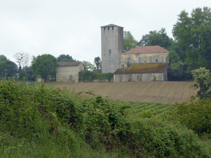 Vue sur le village de Lamothe - Cazeneuve