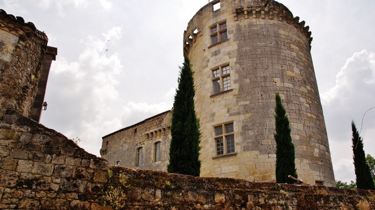 Le Château - Flamarens