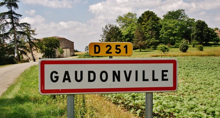  - Gaudonville