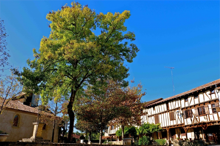 La place du village - Gimbrède