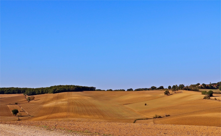 Aux alentours - Gimbrède