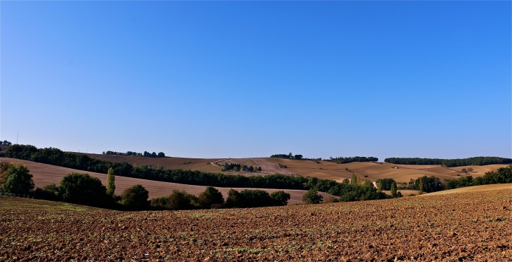 Aux alentours - Gimbrède