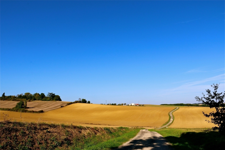 Le chemin qui mène de Rouillac à Gimbrède