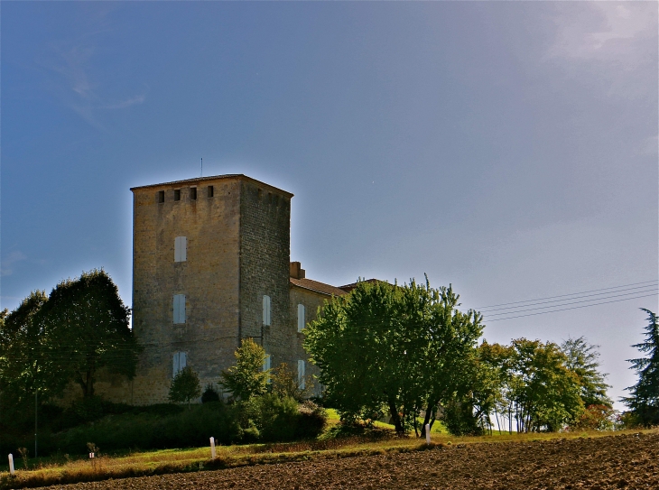 Le château de rouillac du XIVe siècle - Gimbrède