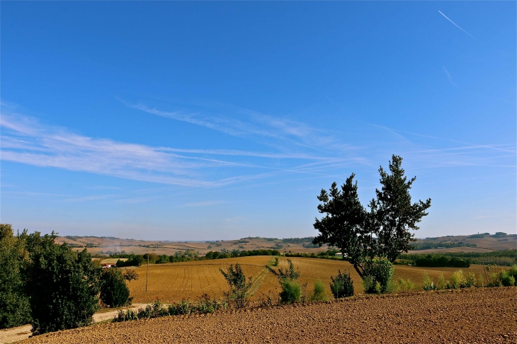 Aux alentours - Gimbrède