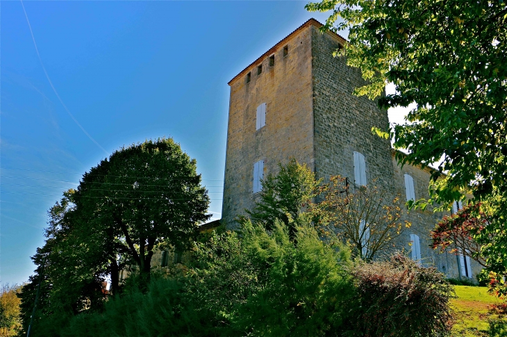 Le château de Rouillac du XIVe siècle - Gimbrède