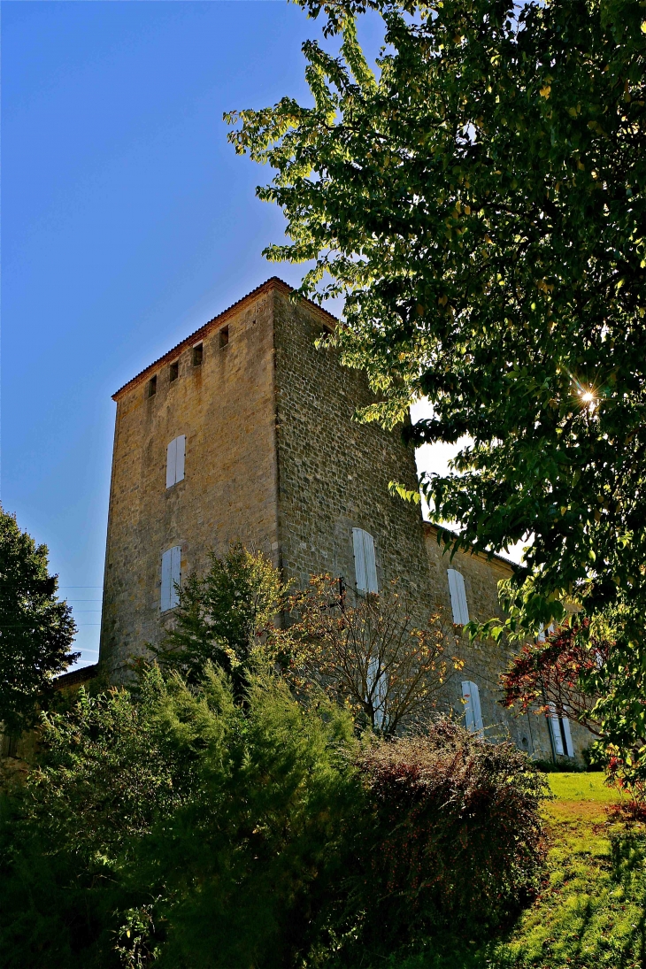 Le château de Rouillac du XIVe siècle - Gimbrède