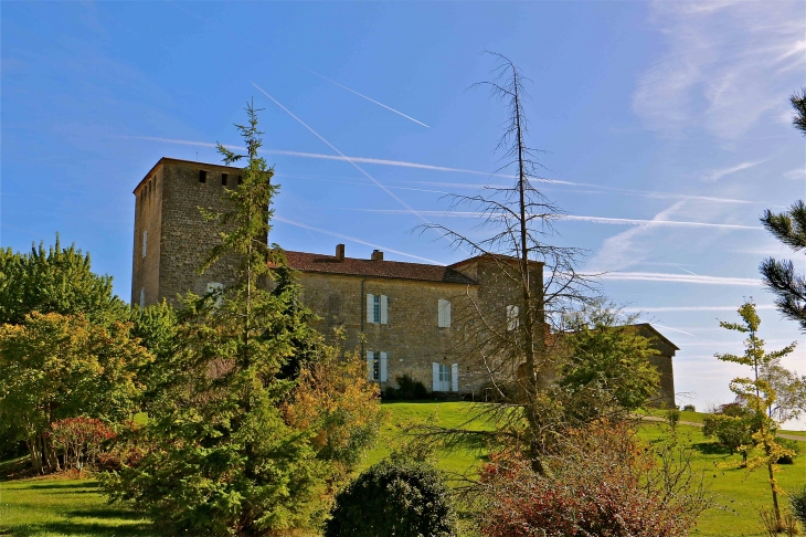 Le château de Rouillac du XIVe siècle - Gimbrède