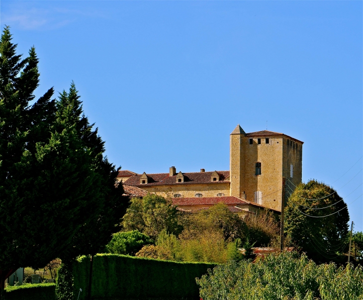 Le château de Rouillac du XIVe siècle - Gimbrède