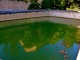 Photo suivante de Gimbrède L'ancien bassin lavoir