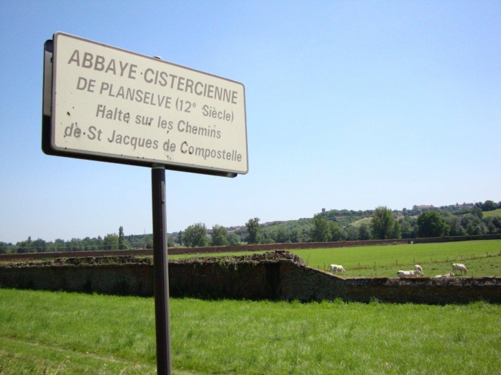 Gimont (32200)  vestiges Abbaye de Planselve