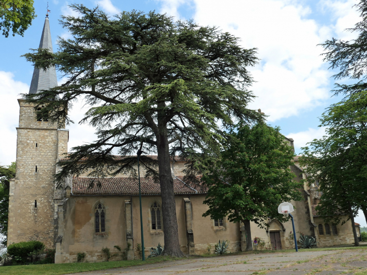 La collégiale Saint Candide - Jegun