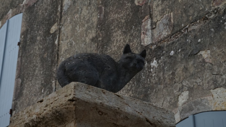 Les chats de La Romieu