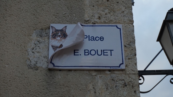 Les chats de La Romieu