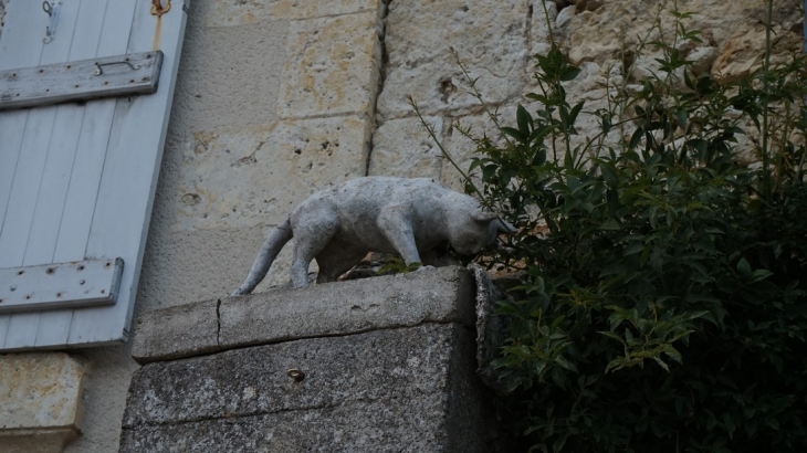 Les chats de La Romieu