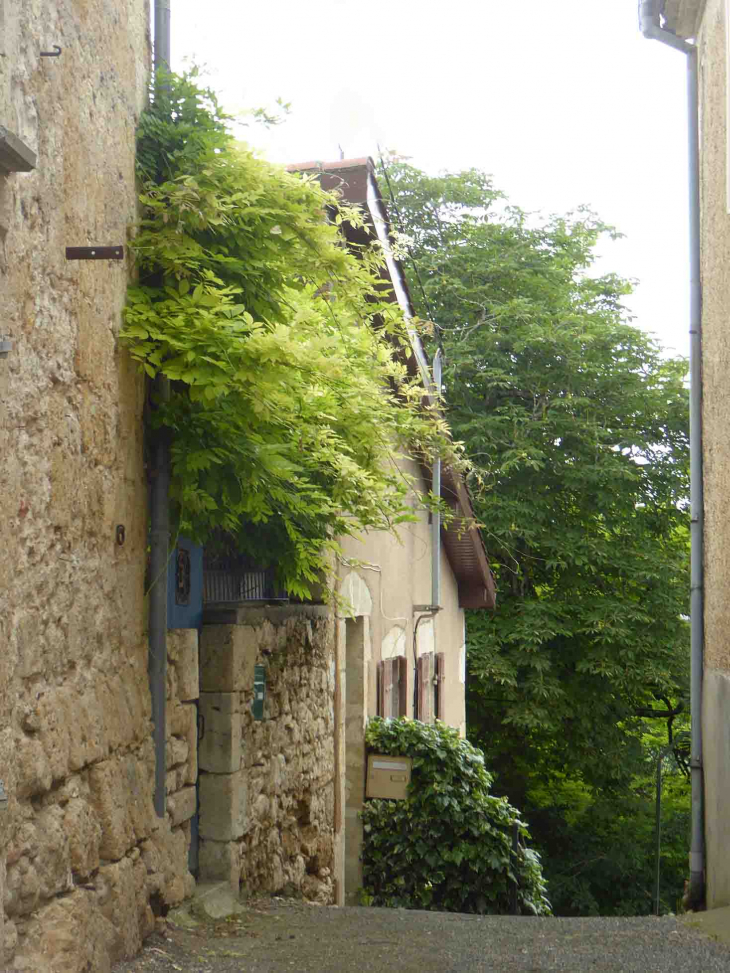 Carrelot (ruelle) de la Porte du Levant - La Sauvetat