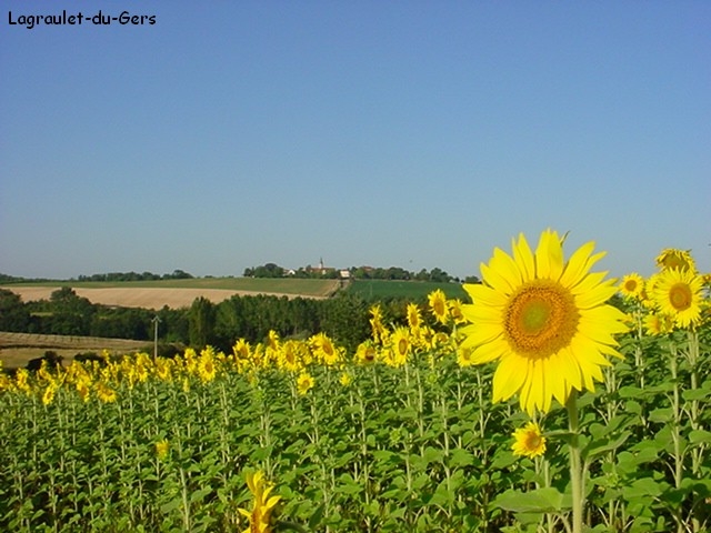 Un joli village gascon - Lagraulet-du-Gers