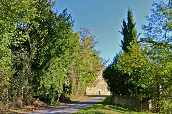 On arrive à l'église romane Saint Michel - Lamaguère