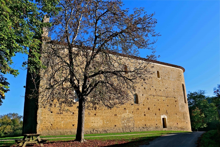 Eglise romane Saint Michel : façade Sud - Lamaguère