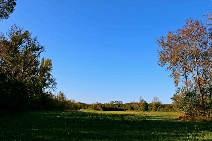 Aux alentours - Lamaguère