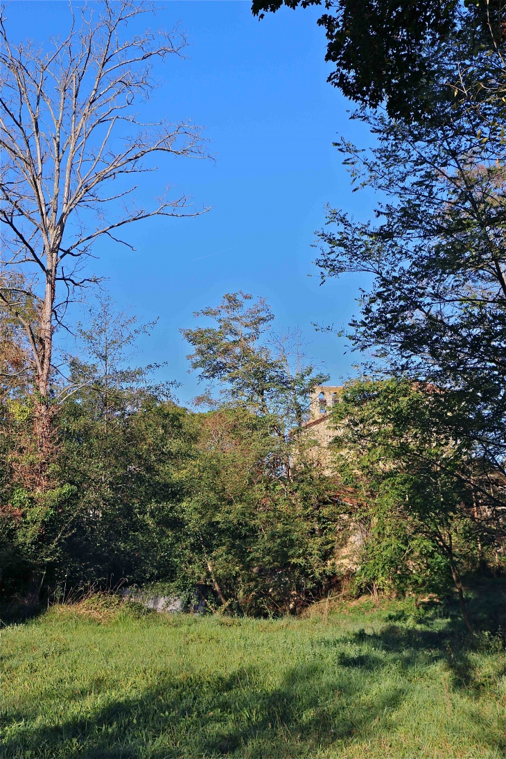 Depuis les berges de l'Arrats - Lamaguère