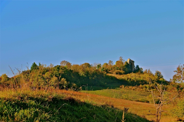 Les vestiges du château - Lamaguère