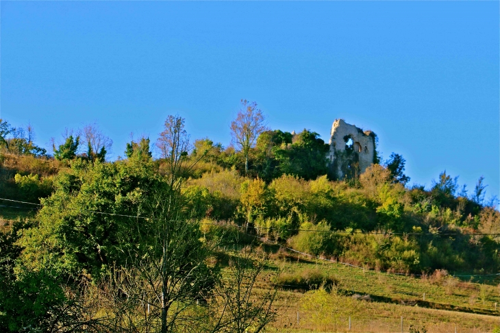 Les vestiges du château - Lamaguère