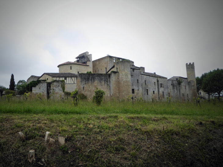 Vue sur le village - Larressingle