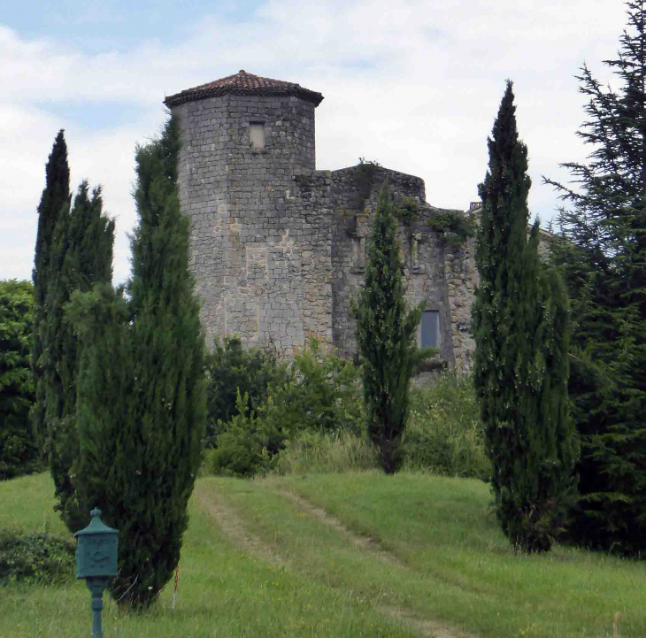 Le château - Larroque-Engalin