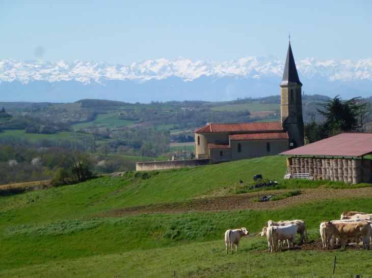 Photo prise du lieu dit lille - Laveraët