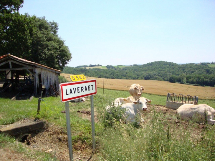 Laveraët (32230) paysage