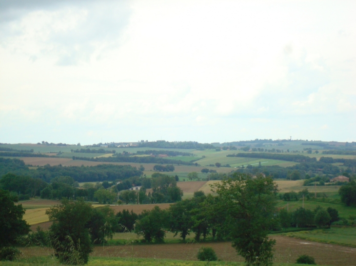 Les coteaux de Lombez