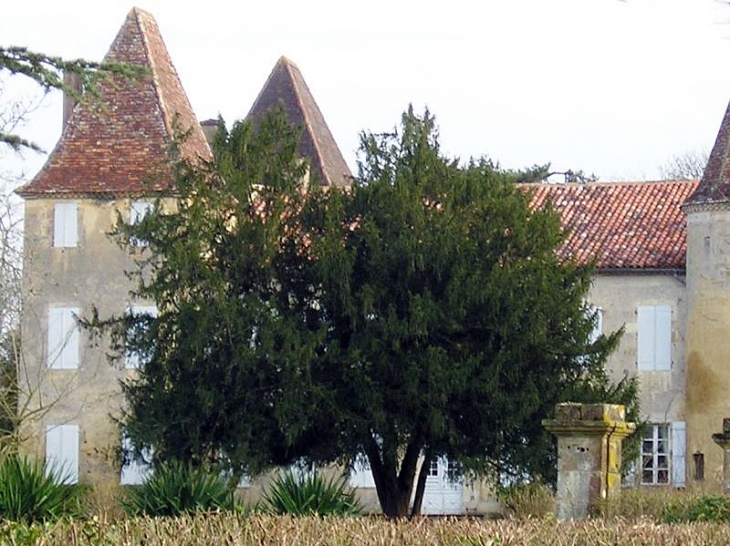 Le château de d'Artagnan - Lupiac