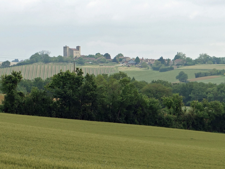 Vue sur le village et son château - Mansencôme