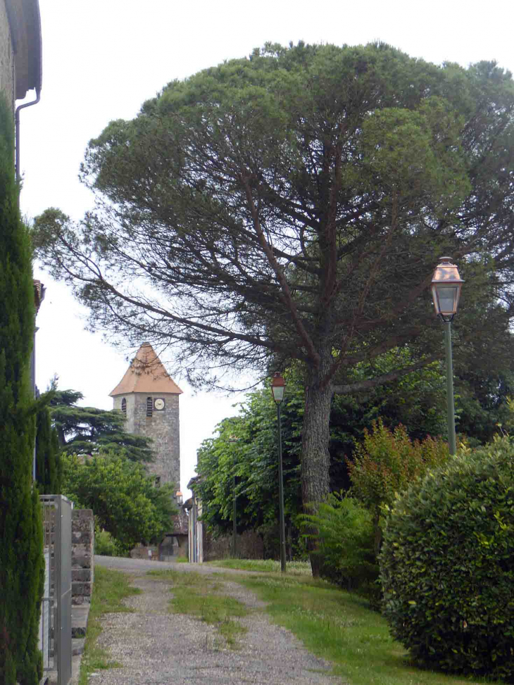 Vers l'église hors les murs - Mas-d'Auvignon