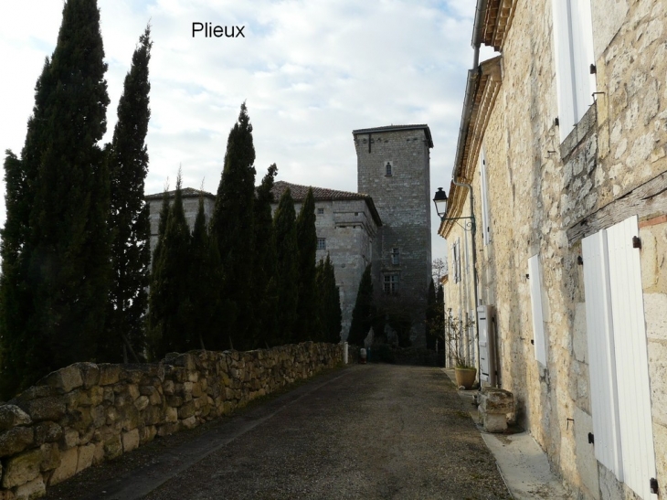 Le château - Plieux