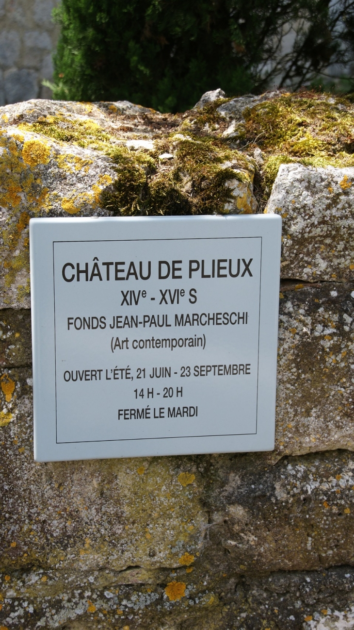  château de Plieux