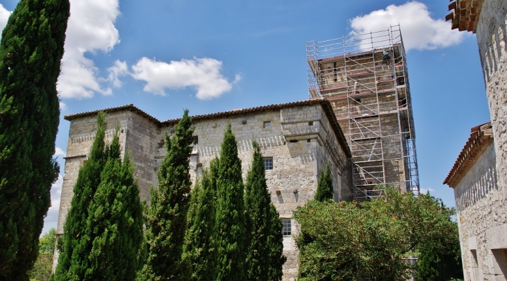  château de Plieux