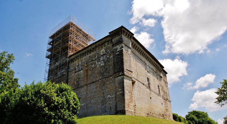  château de Plieux