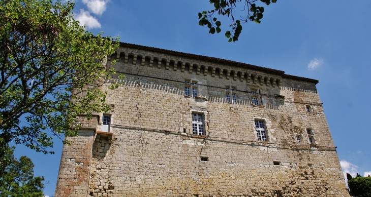  château de Plieux