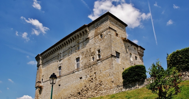  château de Plieux