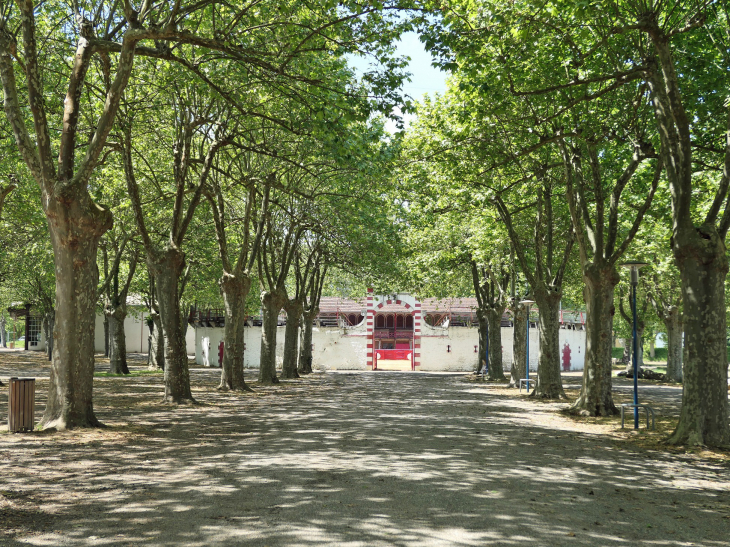 L'allée conduisant aux arènes - Riscle