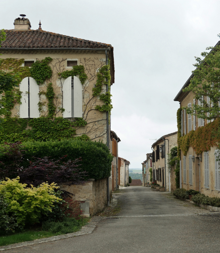 Une rue du village - Roques